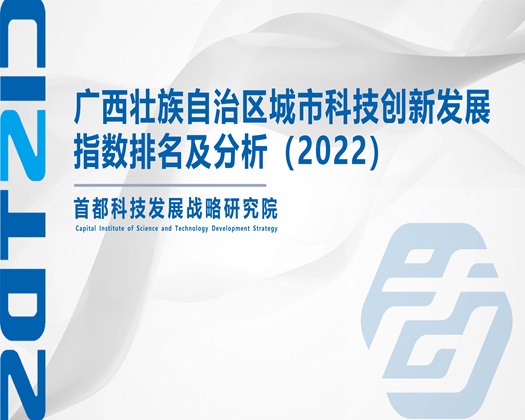 逼逼逼逼操小逼wwwse【成果发布】广西壮族自治区城市科技创新发展指数排名及分析（2022）